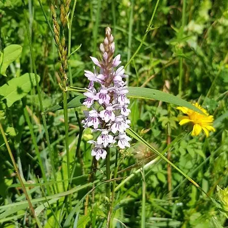 بيت للعطل Belle - Mooi Zuid Limburg سيمبيلفيلد