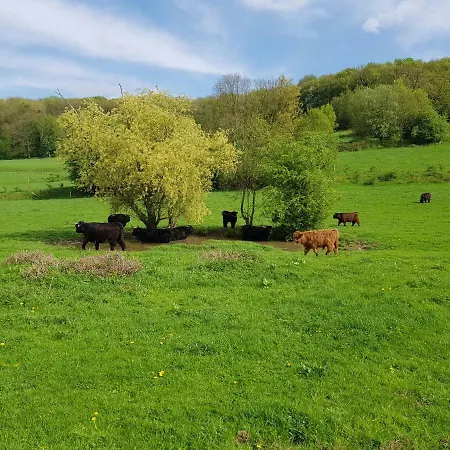Belle - Mooi Zuid Limburg Semesterbostad *