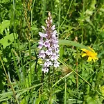 בית נופש Belle - Mooi Zuid Limburg סימפלוולד