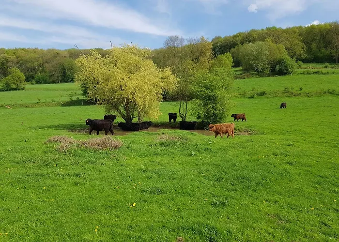 Belle - Mooi Zuid Limburg Ferienhaus *